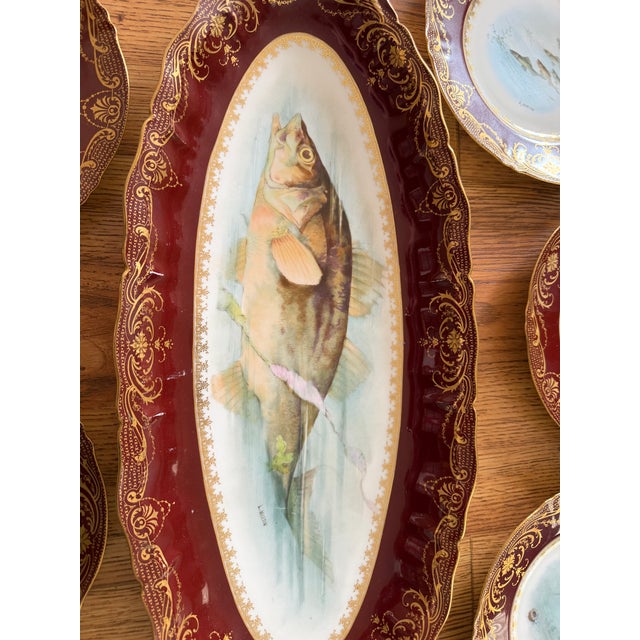 Your fish won't taste the same on these stunning Theodore Haviland Limoges plates (12) and platter! Beautiful and varied...