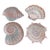 Vintage MCM Fitz and Floyd Omnibus Sea Shells Nautical Appetizer Salad Plates-Set of 4 For Sale