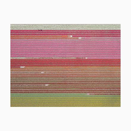 Bernhard Lang, av_tulip_fields_035: Aerial View, Limited Edition Photograph For Sale - Image 11 of 11
