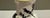Earthenware Vase, 19th Century For Sale - Image 6 of 8