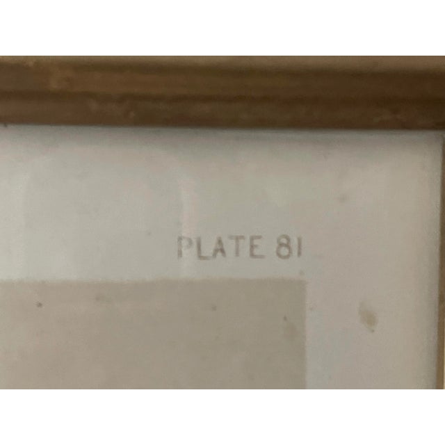 Antique English Victorian Still Life Lithograph Print Circa 1852 For Sale - Image 4 of 10