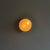 1960s Sigma Ceiling or Wall Lights by Sergio Mazza for Artemide, 1960s, Set of 5 For Sale - Image 5 of 11