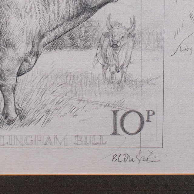 Brown Artist's Proof Sketch, English, Framed Drawing, Barry Driscoll, Chillingham Bull For Sale - Image 8 of 10