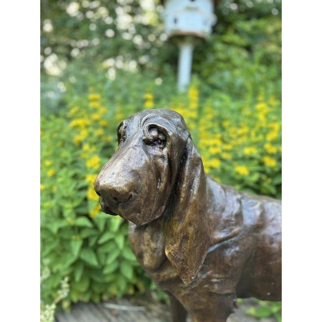 Life-Size Bronze Bloodhound Garden Statue from Christian Maas For Sale - Image 18 of 18
