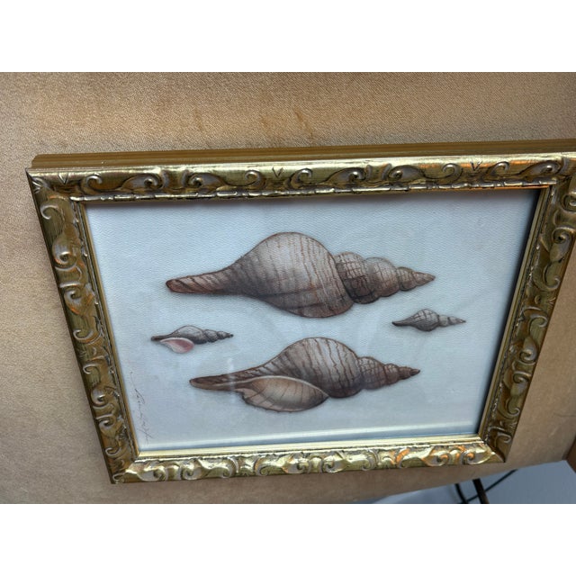 Contemporary Hannah Winters Repro Print of Her Seashells in a Vintage Gold Frame For Sale In Houston - Image 6 of 6