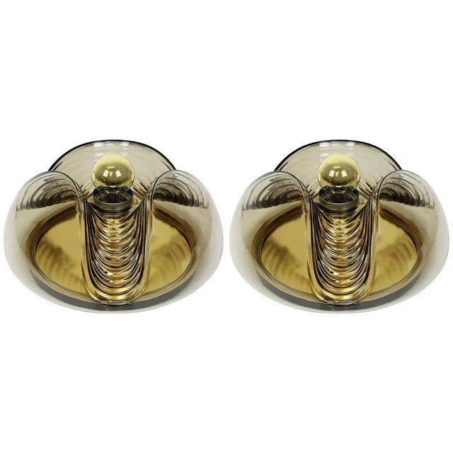 A special round biomorphic smoked glass wall sconce or flush mount designed by koch & lowy for peill & putzler,...