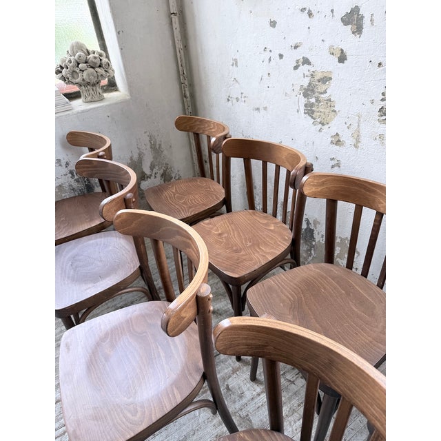 Walnut Bistro Chairs, 1970s, Set of 14 For Sale - Image 12 of 18