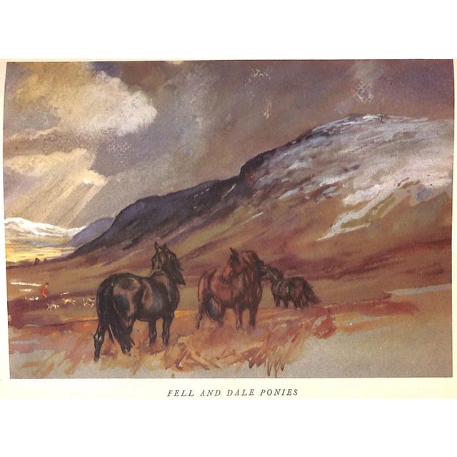 1950s "Getting to Know Your Pony" 1950 Edwards, Lionel For Sale - Image 5 of 13