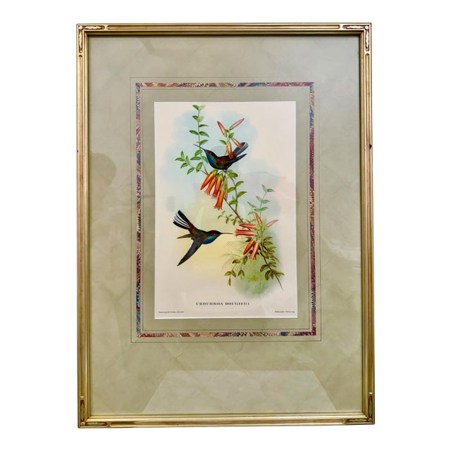 Original Circa 1850 John Gould “Urochroa Bougieri” Hand-Colored Hummingbird Lithograph For Sale