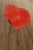 Plastic Mid 20th Century Mid-Century Modern Eames Style Shell Armchair For Sale - Image 7 of 13