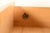 Heywood Wakefield Mid-Century Modern Solid Birch Five-Drawer Highboy Dresser, 1965 For Sale - Image 12 of 18