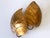 Gold Large Mid-Century Double Leaves Monstera Sconces by Hans Kögl, 1970s, Set of 2 For Sale - Image 8 of 18