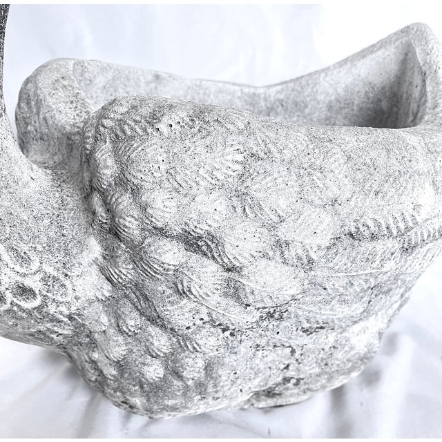 Early 1900s Antique French Concrete Swan Planter For Sale - Image 17 of 17