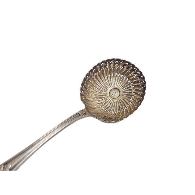 Bidermeier Marinated Tomatos Spoon, France, 1900s For Sale - Image 4 of 18