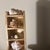 Multi-Tier Stained Wood Shelf With Natural Conch and Murex Shells For Sale - Image 4 of 12