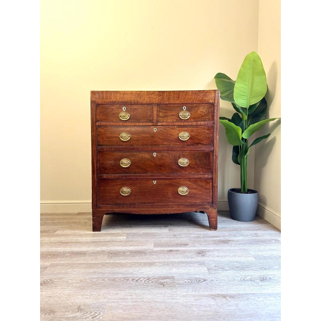 Georgian Chest of Drawers in Mahogany For Sale - Image 17 of 17