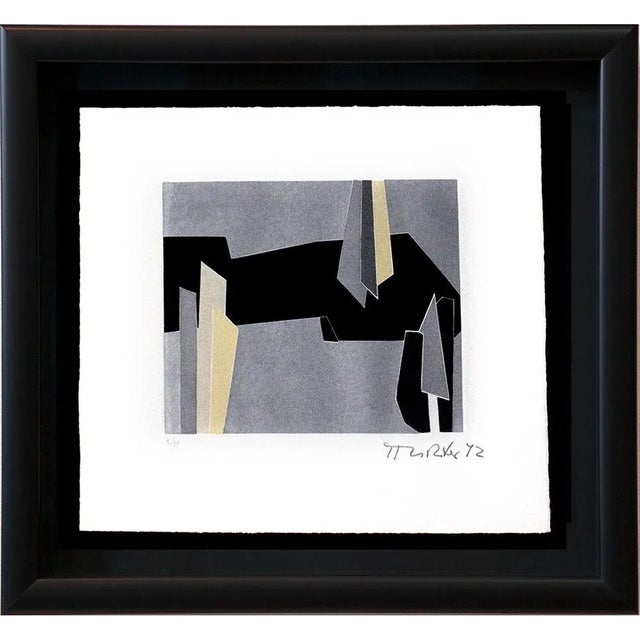 Hans Richter Signed 1972 Etching, Edition 5/99, Custom Framed For Sale - Image 13 of 13