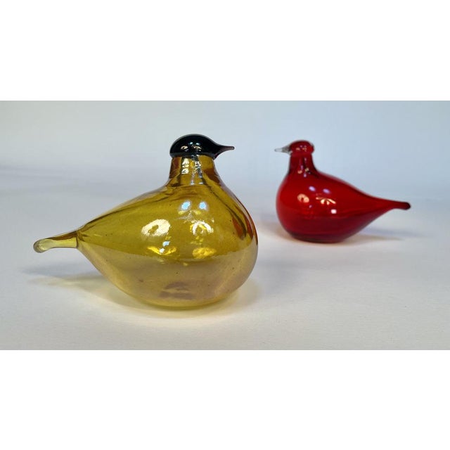 Tirri Mouth-Blown Glass Art Birds by Oiva Toikka for Iittala, Finland 1980s, Set of 2 For Sale - Image 3 of 18