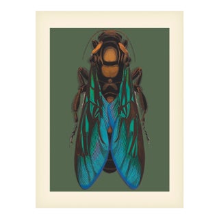 Bugs by Seguy #8 For Sale