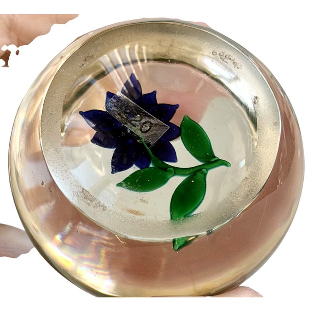American Antique 19c New England Glass Company Poinsettia Paperweight For Sale - Image 3 of 3