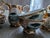 19th Century Bavaria German China Demitasse Tea Set - 14 pcs For Sale - Image 4 of 6