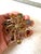 Vintage Gold Fill Rhinestone Brooch For Sale In New York - Image 6 of 6