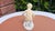 Porcelain Boy with Goose Figurine from Schaubach Kunst, 1950s For Sale - Image 9 of 11