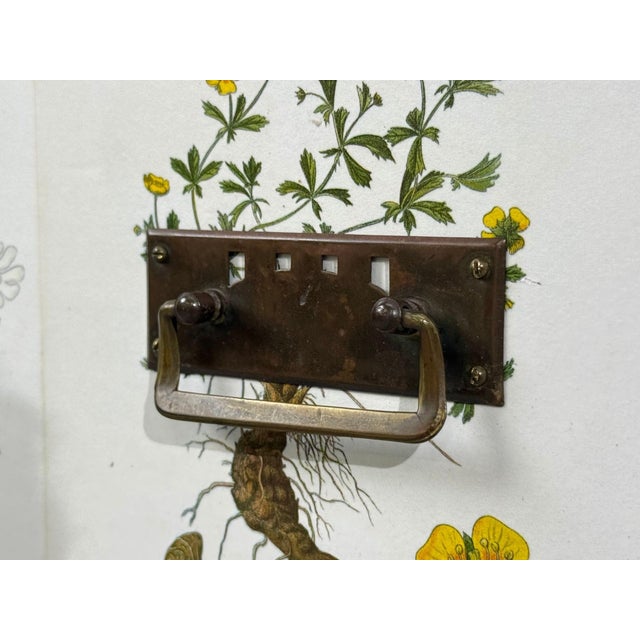 Swedish Modern, Nordens Flora Dresser, Brass, Floral Lithographs, Sweden, 1930s For Sale - Image 9 of 14