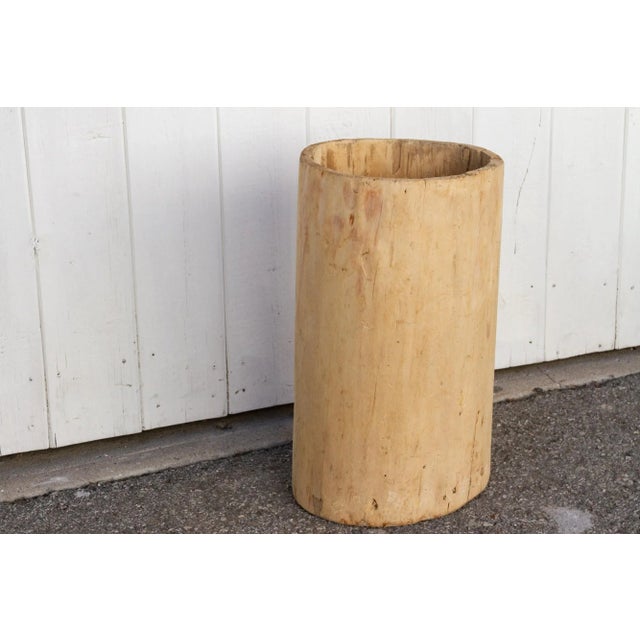 1960s Tall Bleached Tree Trunk Planter For Sale - Image 5 of 10