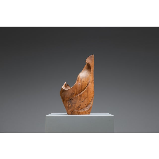 Sculptural Form in Elm, 1985 For Sale - Image 3 of 18