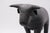 Dimitri Omersa Leather Bull Stool attributed to Dimitri Omersa for Valenti, 1965 For Sale - Image 4 of 14