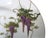 Art Deco 1950s Koshida Wisteria Garland Hand Painted Vintage Luncheon Tea Dessert Plate For Sale - Image 3 of 10
