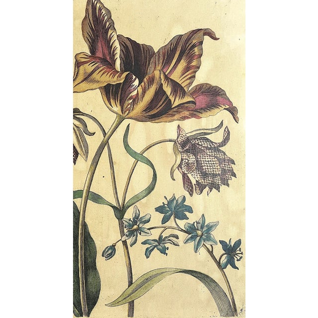 Rustic French Country Botanical Flower Paintings, Pictures in Green & White Twig Frames , a Pair For Sale In Tampa - Image 6 of 6