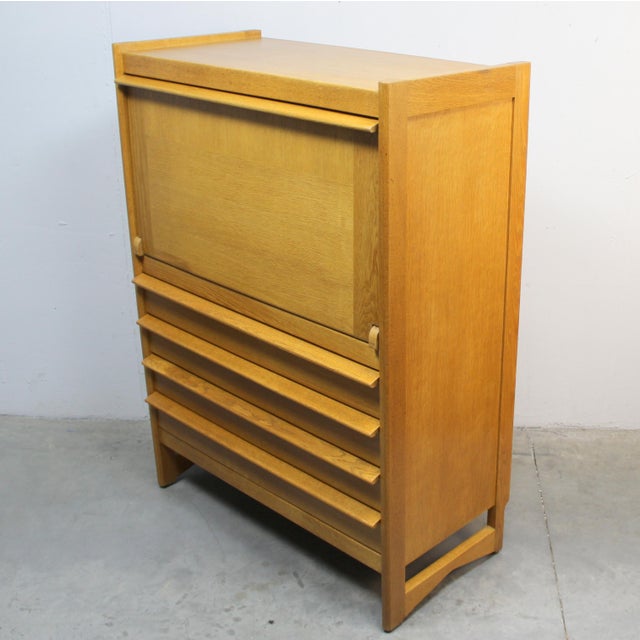 Plastic Vintage Cabinet by Guillarme and Chambrom, 1960s For Sale - Image 7 of 9