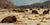 Cold Day by Clyde Steadman | Oil on cradled panel Bison in a snowy landscape For Sale