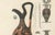 Paper Albert Genick, Greek Jugs with Classical & Winged Figures, 1883, Lithograph For Sale - Image 7 of 12