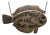Carved Fish Trade Sign for "Beach House Inn, Brant Point" For Sale