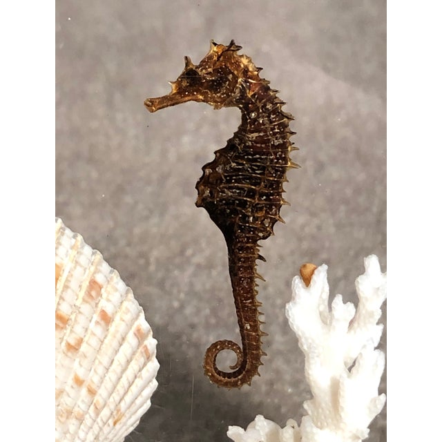 Plastic Mid 20th Century Pair of Whimsical Clear Bookends With Seashells and Seahorse For Sale - Image 7 of 12