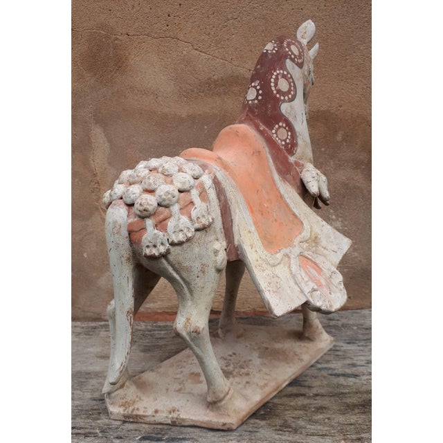 Chinese Northern Wei Dynasty Artist, Sculpture of Horse, Terracotta For Sale - Image 6 of 9