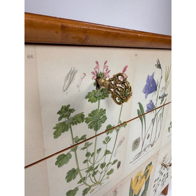 1950's Swedish Dresser With Nordens Flora Illustrations For Sale - Image 12 of 12