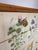 1950's Swedish Dresser With Nordens Flora Illustrations For Sale - Image 12 of 12
