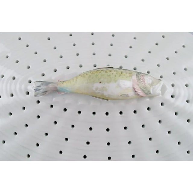 Royal Copenhagen Large Fauna Danica/ Flora Danica Porcelain Fish Strainer from Royal Copenhagen For Sale - Image 4 of 7