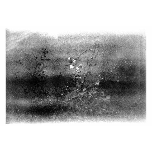 This photograph expired_08_2020 was taken by the italian photographer serena zeppilli. It is part of the series "i was...