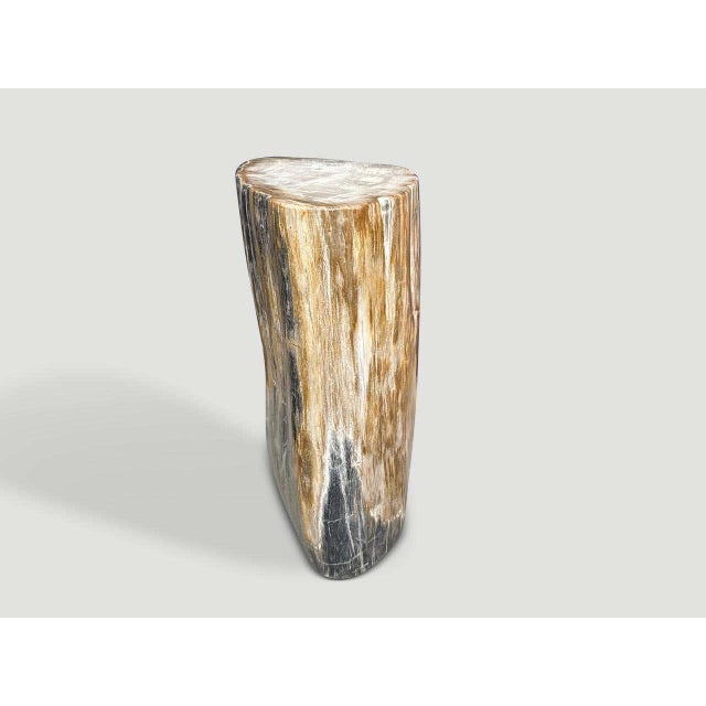 2010s Andrianna Shamaris Modern Organic Petrified Wood Side Table For Sale - Image 5 of 5