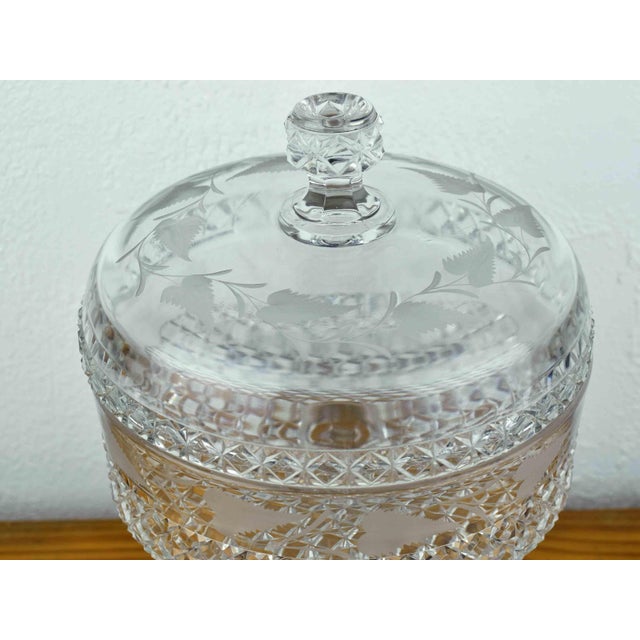 19th Century Early American Glass Ripley & Co. Mascotte Pattern Pedestal Compote With Lid For Sale - Image 6 of 9