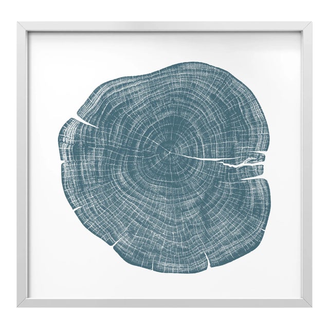 Stump 1 - Variation 5 by Trinette + Chris Print with White Frame - 14 X 14 For Sale