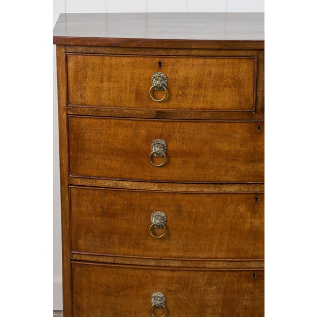Wood 19th Century Mahogany Chest With Lion Head Pulls For Sale - Image 7 of 14