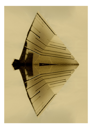 Guy Sargent, Poseidon, Archival Pigment Print