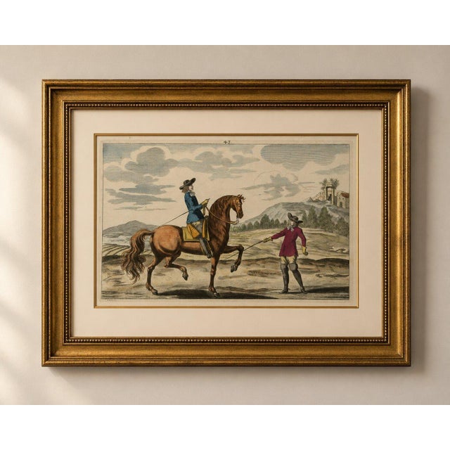 Baroque Georg Simon Winter von Adlersflügel, Baroque Dressage Horse in Collection, 1678, Print For Sale - Image 3 of 9