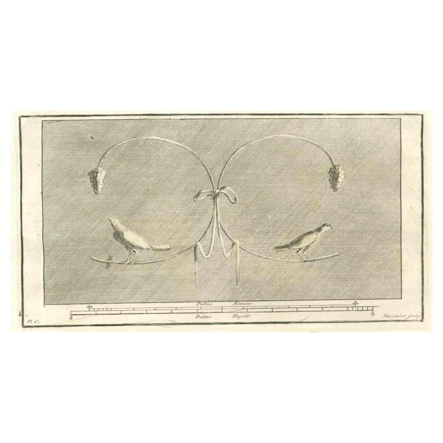 Marcant Iacomino, Birds Decorative Fresco, Etching, 18th Century For Sale
